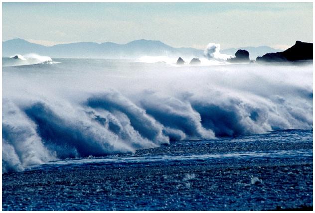 Waves are Key to Shoreline Dynamics Waves created by winds blowing over the ocean Wave height depends on