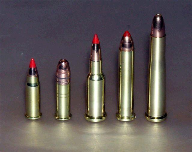 These pictures provide perspective of the relative size of the 17 Squirrel. The picture on the left compares loaded 17 Squirrel rounds to a U.S. quarter.