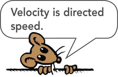description of how fast an object moves; velocity is how