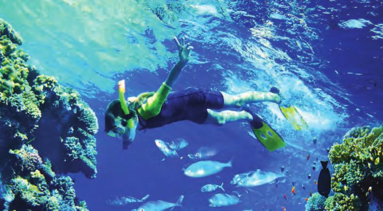 Children can be introduced to diving at Oman Sail s Dive Centre from the age of 8 years and can get a worldwide certification as a Scuba Diver at the age of 10 years.