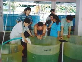 from AQD Hatchery and nursery operations of marine fishes Tigbauan Main Station (TMS) and Igang Station, 2 June 27 July 2003 1 participant (technician) from