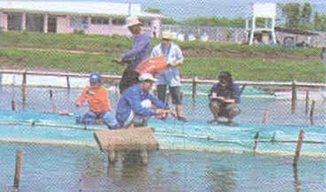 centers for fish farmers, entrepreneurs, employment and
