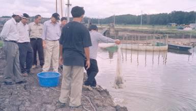 Aquaculture (Demonstration and pilot areas in Vietnam,
