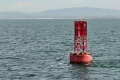 What is that over there? We can see a sea lion taking a nap on a red buoy!
