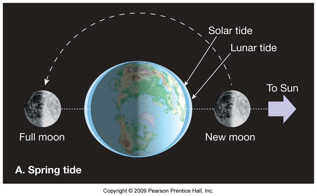 Earth Moon Moon Sun positions