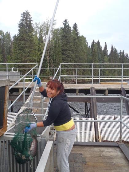 Lake Babine Nation Inland Fishery The inland commercial fishery on Lake Babine is operated by a private fishing company named Talok that is owned by the Lake Babine Nation (LBN).