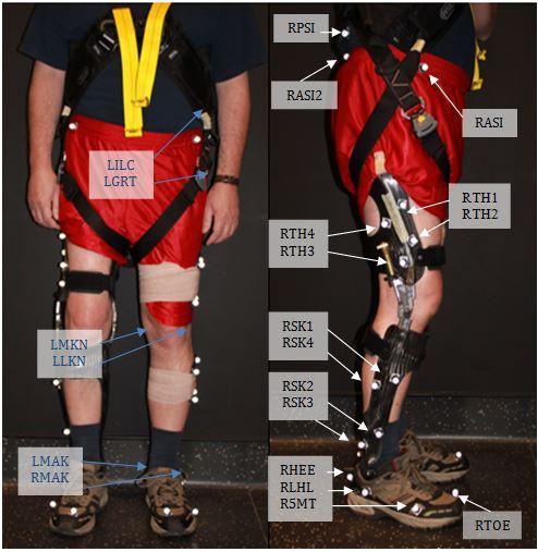 Figure 5.4: Lower body 6 degree of freedom marker set. The 6 anatomical locations are labeled on the left and 15 tracking markers are labeled on the right (adapted from [67]).