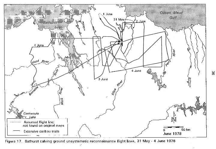 Please note here that they flew west of the Bathurst Inlet, but only found calving on the east side of the inlet (next page,) If this