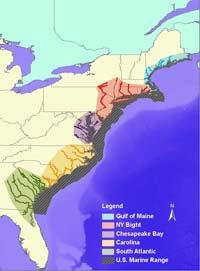 Atlantic Sturgeon Proposed Listing Proposal to list 5 Distinct Population Segments Gulf of Maine (threatened);