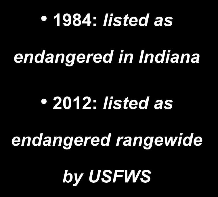 rangewide by USFWS snuffbox has