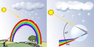 refracts or bends the white light and splits the wavelengths apart