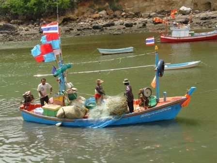 Mackerel gill net boats