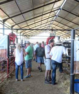 Judging by the resounding success of the day, the Expo will become an annual event supported by the South African Boran Society.
