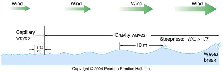 As wind continues to blow, larger waves will build up that are restored by gravity =gravity wave. 3. H, L, S begin to build up until H/L > 1/7, the wave breaks, white caps form. 9.