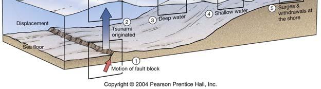 movement of the ocean floor by: Underwater fault movement Underwater volcanic eruptions Land slides Fig.