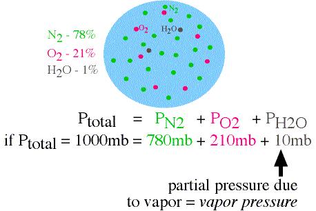 Pulmonary gas exchange: partial pressure in gas mixtures In gas mixtures, the partial pressure is the pressure the gas would exert ALONE in the given space