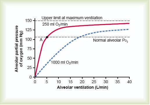 Determinants of P O in the alveolar air: 2 oxyge