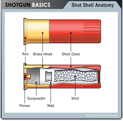 Shotgun Shells Cartridges filled with lead shot are the most common type of shotgun ammunition. Shot consists of small, round lead pellets.
