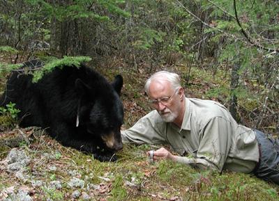 that if you start with a supplemental feeding program, it is difficult to quit without bears being lethally affected; therefore, it will never be a short-term solution to bear issues, rather, it must