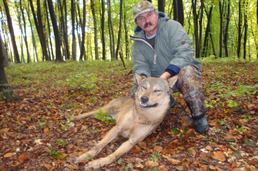 PREDATOR HUNTS Shooting fee Wolf 800, 00 EUR Shooting fee Lynx Shooting fee Wild cat 250,