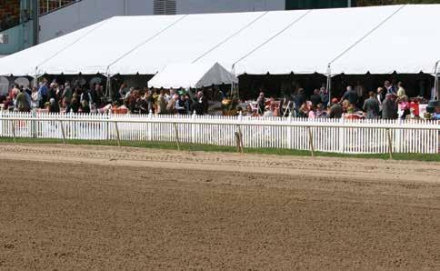 Maryland Million Club Table Reservations The