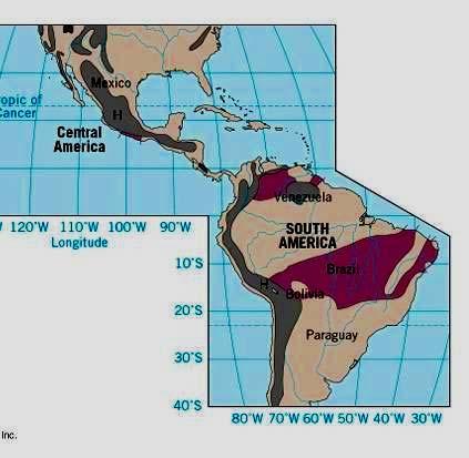 precipitation and mt,me air Winter: ITCZ moves south and the weather is dominated by the sub-tropical