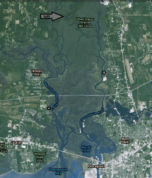 Above: Satellite image of the Pascagoula Marsh. The marsh originates where the Pascagoula River splits into the East and West rivers.