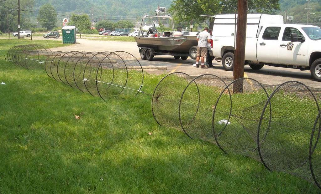Three Hoop Nets Set in Tandem In conclusion, Wilmore Dam has excellent opportunities for crappie, sunfish, brown bullheads and largemouth bass.