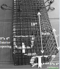 All exclusion devices have a 4 x 4 inch opening and are constructed for a killer-type trap with a jaw spread less than or equal to 5 inches (primarily used for marten trapping). 2a 2b Figure 2.