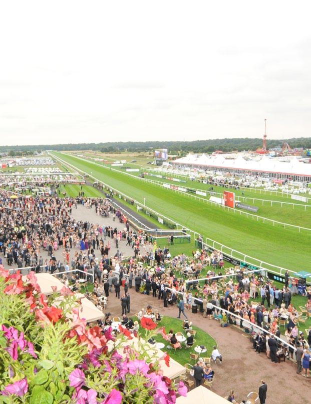 Welcome to Doncaster Racecourse, Conference and Exhibition Centre One of the UK s leading venues for exhibitions, conferences, meetings, parties, outdoor events and entertainment.