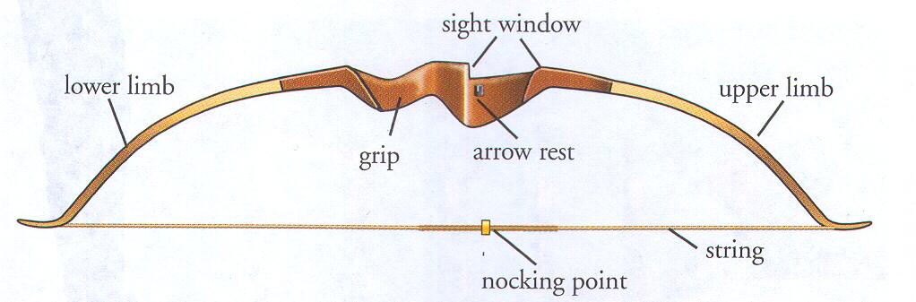 Recurve Bow Much like the Longbow, but the limbs curve back away from the belly of the bow, which