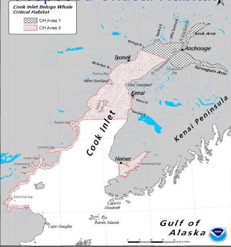 Cook Inlet Beluga Whale Critical Habitat (proposed) Nearshore foraging and calving (Area 1) Near and offshore feeding