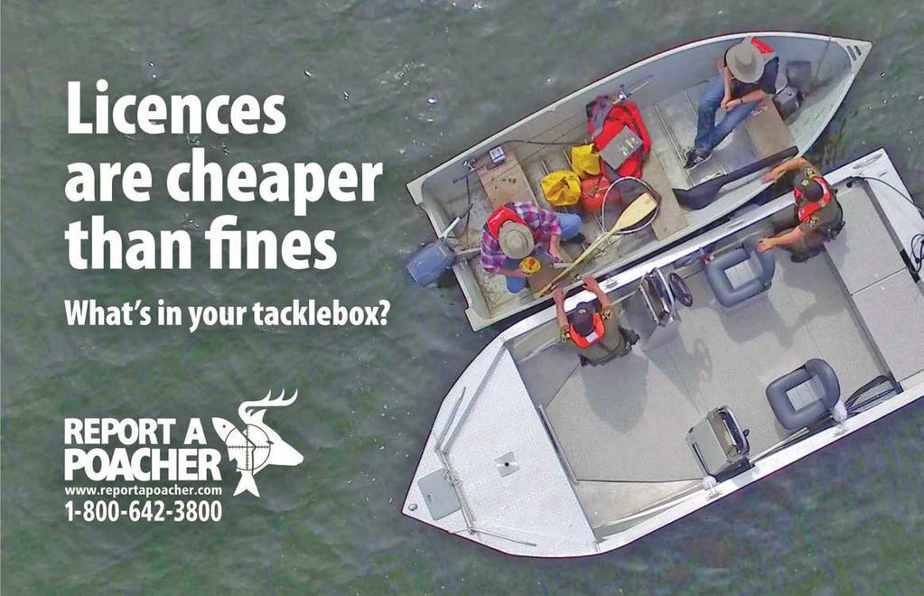 Your letter or e-mail will be sent to the appropriate fisheries personnel and advisory