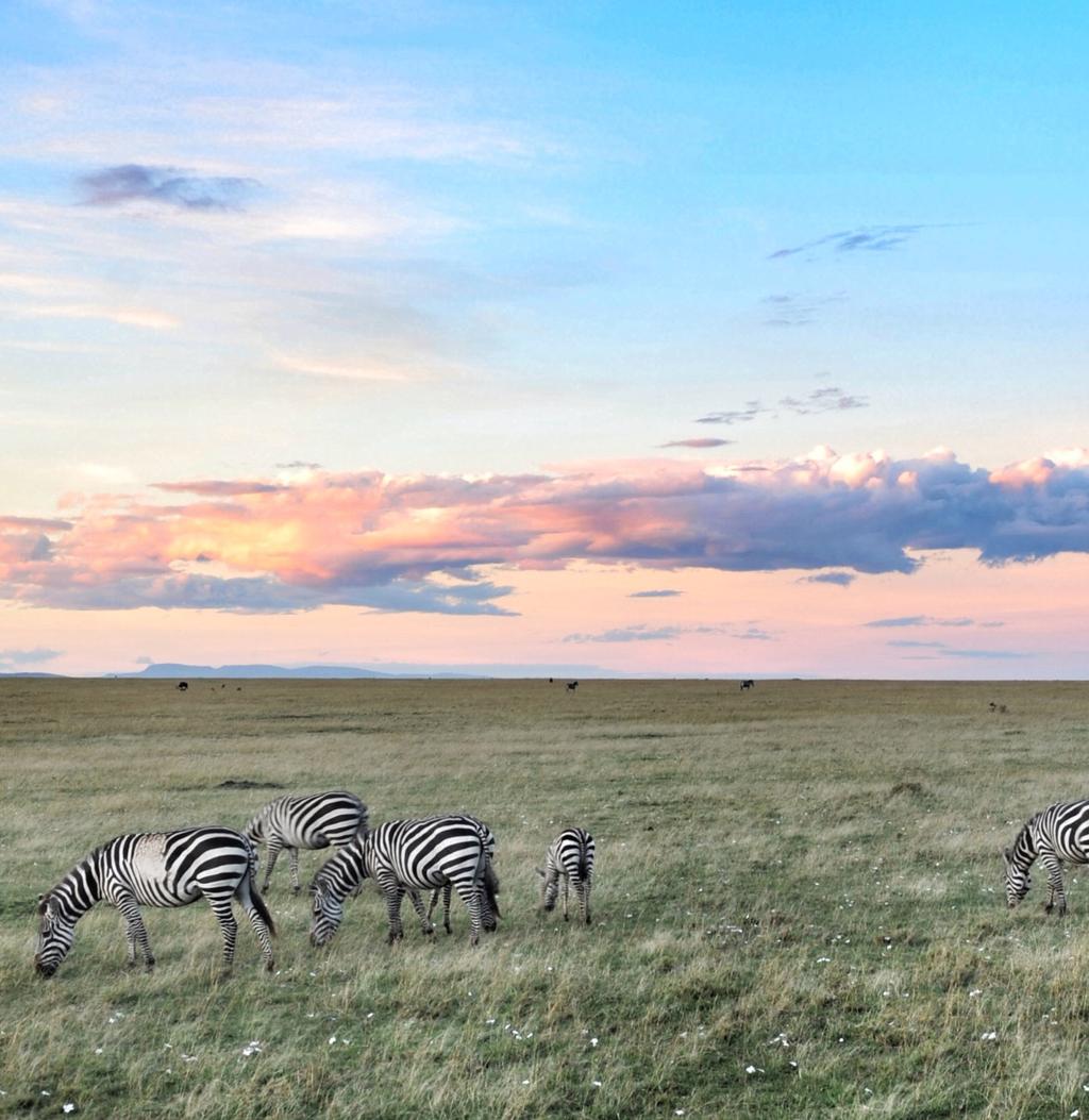 Kenya Unveiled DAY BY DAY ITINERARY safaris in style with private guide info@deeperafrica.com www.deeperafrica.com Safaris in Style The horizon stretches farther than you ve ever seen.