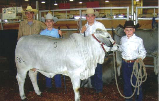 We re in the Brahman business for the long haul. The sixth generation is now getting involved and they love the Brahman cattle.