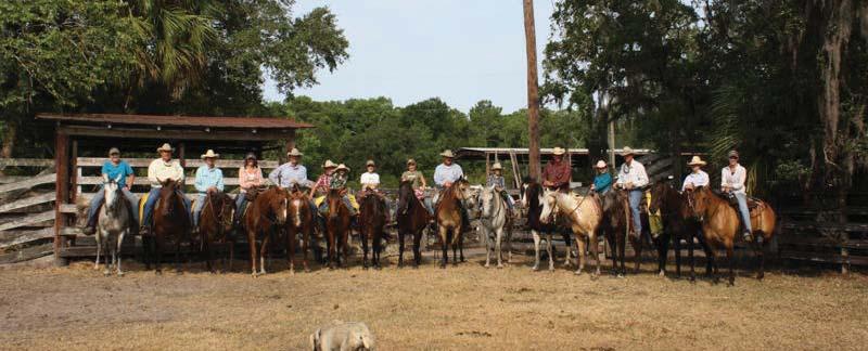 What started in the late 1800s with commercial cattle has become one of the deepest-quality herds of Brahman cattle to date.