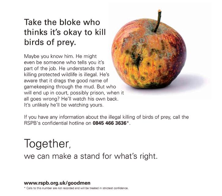 A bad apple can spoil everything rspb.org.uk/goodmen *Calls to this number are not recorded and will be treated in the strictest confidence.