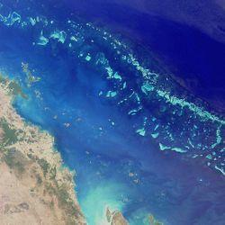 Barrier Reef A coral reef growing parallel to the coastline and separated from it by a lagoon is called a barrier reef The lagoon may develop between