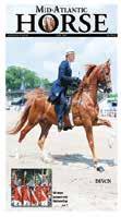 the classics must wear formal attire 389 Thoroughbred Hunter U/S Dover Ring 10:00am