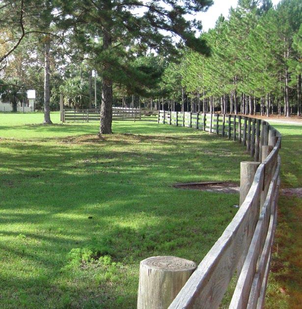 Perry 300 Hunting & Lodge Perry, FL Taylor County All Offers Considered! Abundant White Tail Deer Cattle Ranching Outdoor Recreation Corporate Retreat Timber Income SREland.