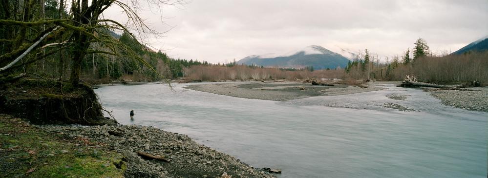 Hoh River Wild Steelhead on the Brink By Dick Burge, Wild Steelhead Coalition Upper Hoh River photo by Jeff Bright No one would have thought 20 years ago that the Hoh River wild steelhead runs would