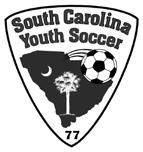 These annual competitions decide which teams are SC Youth Soccer Kohls American Cup Champions and Publix Recreation Cup Champions.