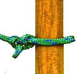 These double half hitch images I took from a knot website page.
