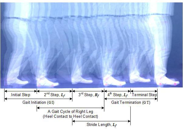 Figure-8. Joint position trajectories on spatiotemporal image of walking. Figure-7. Spatiotemporal representation of five steps walking gait from Gait Initiation (GI) to Gait Termination (GT).