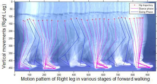 Figure-9 provides a different view of movement patterns for all five significant positions where motion trajectories are presented based on time. Table-1. Identifications of gait properties.