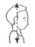 ADDITIONAL VISUAL AIDS AND CHARTS - EXAMPLES RANGING FROM GOOD TO BAD Position of the head Position of the limbs EXTENDED: Arms should be held up straight and
