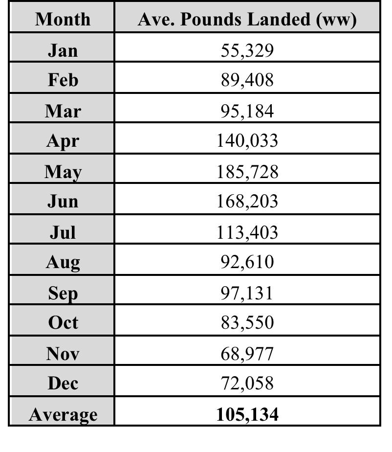 YELLOWTAIL SNAPPER Average monthly commercial landings of yellowtail