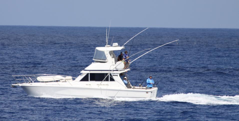 Black marlin and sailfish have still dominated On Strike II captures with even the odd blue marlin appearing in our spread on a fairly regular basis once a week.