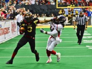 This season, the Arena Football League will consist of