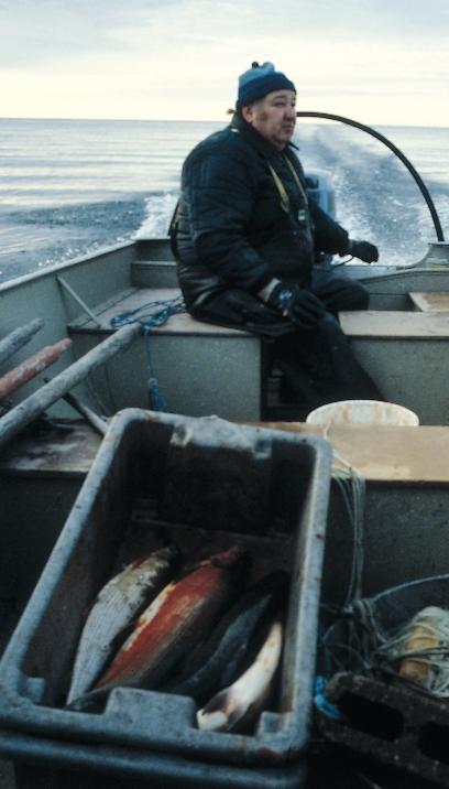 A small boat fisherman brings in his catch. Some tribal fishermen use small boats. Netting through the ice on Lake Superior. A tribal fishing tug heads out to check nets.